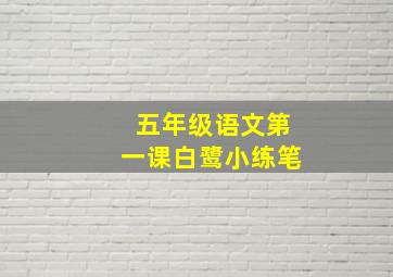 五年级语文第一课白鹭小练笔