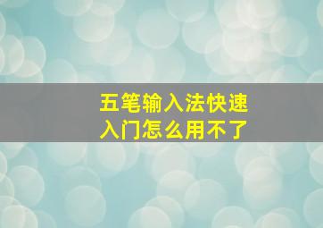 五笔输入法快速入门怎么用不了