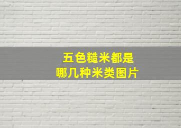 五色糙米都是哪几种米类图片