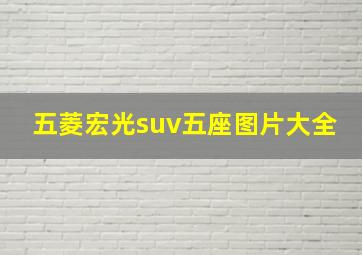 五菱宏光suv五座图片大全