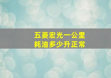 五菱宏光一公里耗油多少升正常