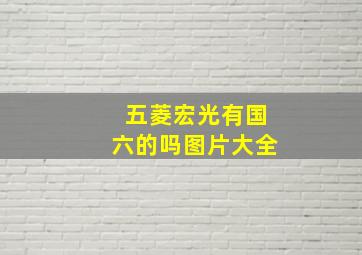 五菱宏光有国六的吗图片大全