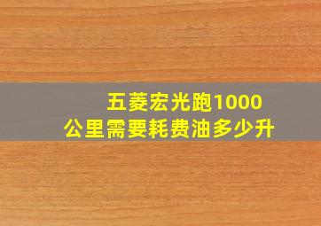 五菱宏光跑1000公里需要耗费油多少升