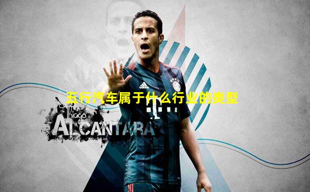 五行汽车属于什么行业的类型