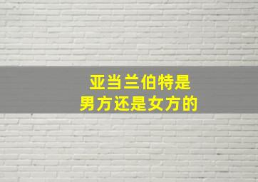 亚当兰伯特是男方还是女方的