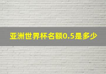 亚洲世界杯名额0.5是多少