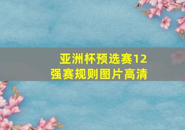 亚洲杯预选赛12强赛规则图片高清