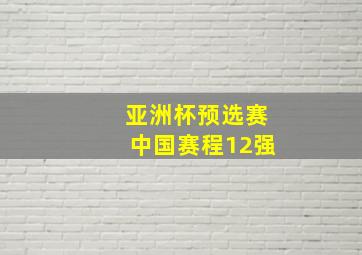 亚洲杯预选赛中国赛程12强