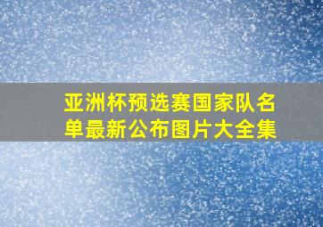 亚洲杯预选赛国家队名单最新公布图片大全集