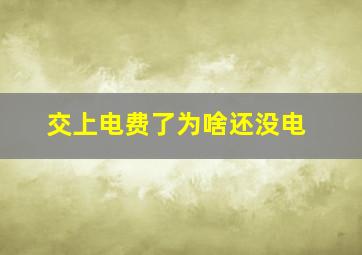 交上电费了为啥还没电