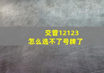 交管12123怎么选不了号牌了