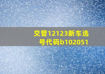 交管12123新车选号代码b102051