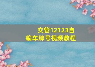 交管12123自编车牌号视频教程