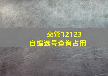 交管12123自编选号查询占用