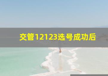 交管12123选号成功后