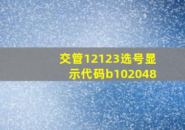 交管12123选号显示代码b102048