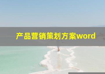 产品营销策划方案word