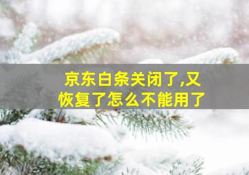 京东白条关闭了,又恢复了怎么不能用了