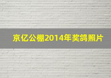 京亿公棚2014年奖鸽照片