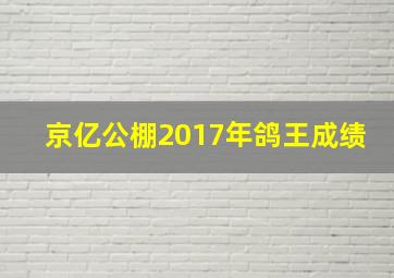 京亿公棚2017年鸽王成绩