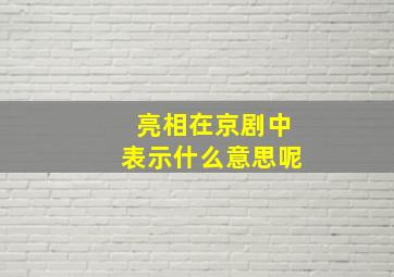 亮相在京剧中表示什么意思呢