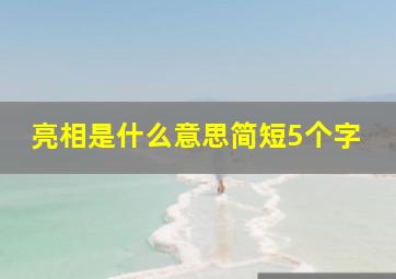 亮相是什么意思简短5个字