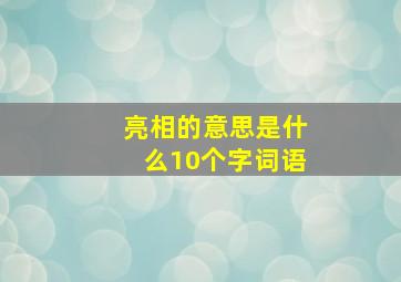 亮相的意思是什么10个字词语