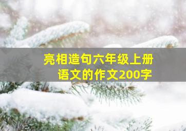 亮相造句六年级上册语文的作文200字