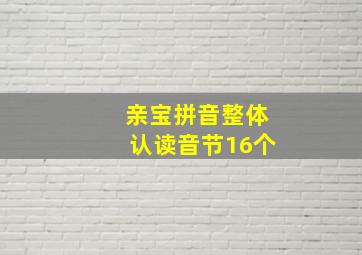 亲宝拼音整体认读音节16个