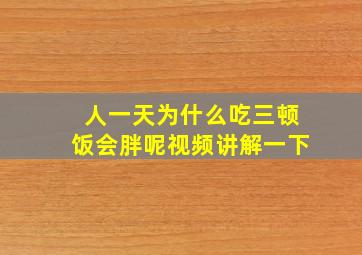 人一天为什么吃三顿饭会胖呢视频讲解一下