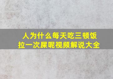 人为什么每天吃三顿饭拉一次屎呢视频解说大全