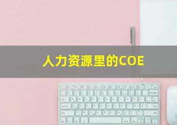 人力资源里的COE