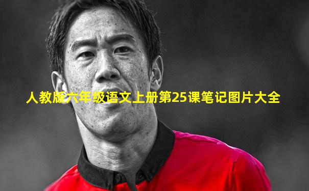 人教版六年级语文上册第25课笔记图片大全