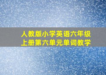 人教版小学英语六年级上册第六单元单词教学