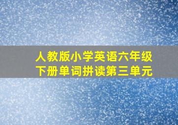 人教版小学英语六年级下册单词拼读第三单元