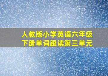 人教版小学英语六年级下册单词跟读第三单元