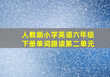 人教版小学英语六年级下册单词跟读第二单元