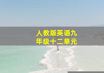 人教版英语九年级十二单元