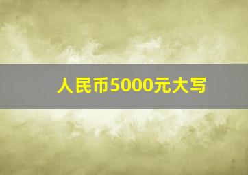 人民币5000元大写