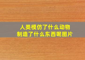 人类模仿了什么动物制造了什么东西呢图片