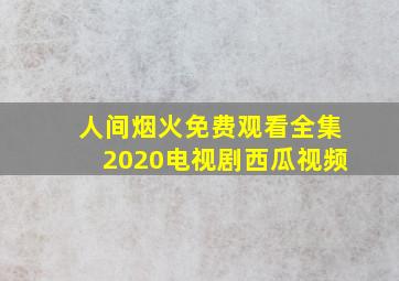 人间烟火免费观看全集2020电视剧西瓜视频