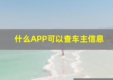 什么APP可以查车主信息