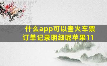 什么app可以查火车票订单记录明细呢苹果11