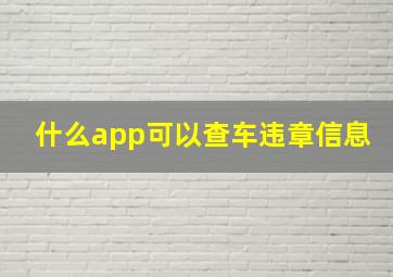 什么app可以查车违章信息