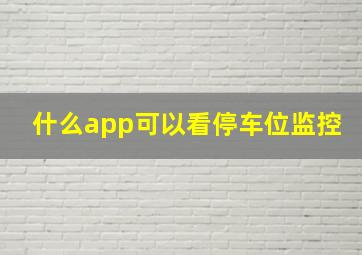 什么app可以看停车位监控