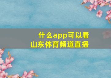 什么app可以看山东体育频道直播