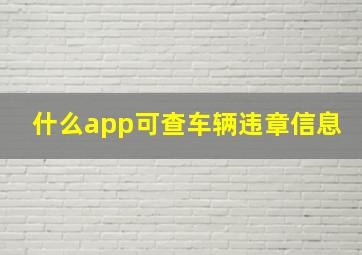 什么app可查车辆违章信息