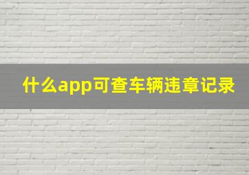 什么app可查车辆违章记录