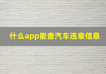 什么app能查汽车违章信息