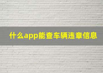 什么app能查车辆违章信息